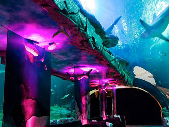 L'aquarium location de salles à paris